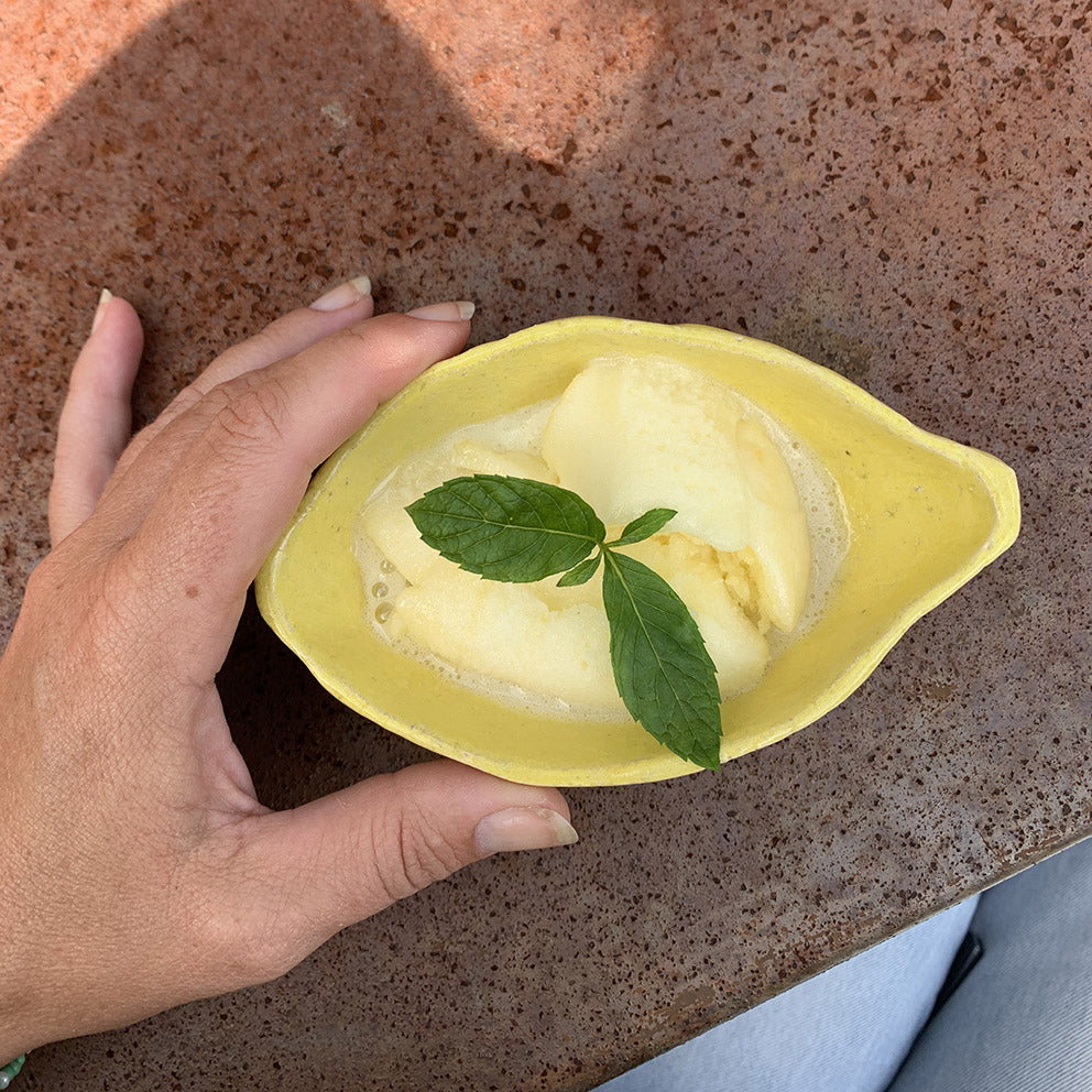 Linda Pabst Lemon Skål