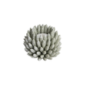Mogihome Shelly Fyrfadsstage - Light Green