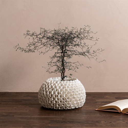 Mogihome Shelly Vase - Creme