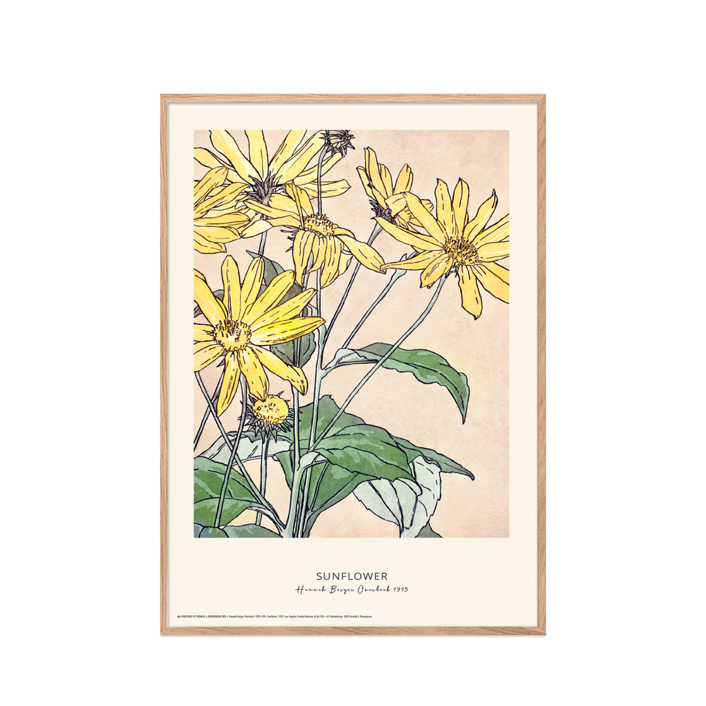 Hannah Borger Overbeck "Sunflower" Plakat 42 x 60 cm