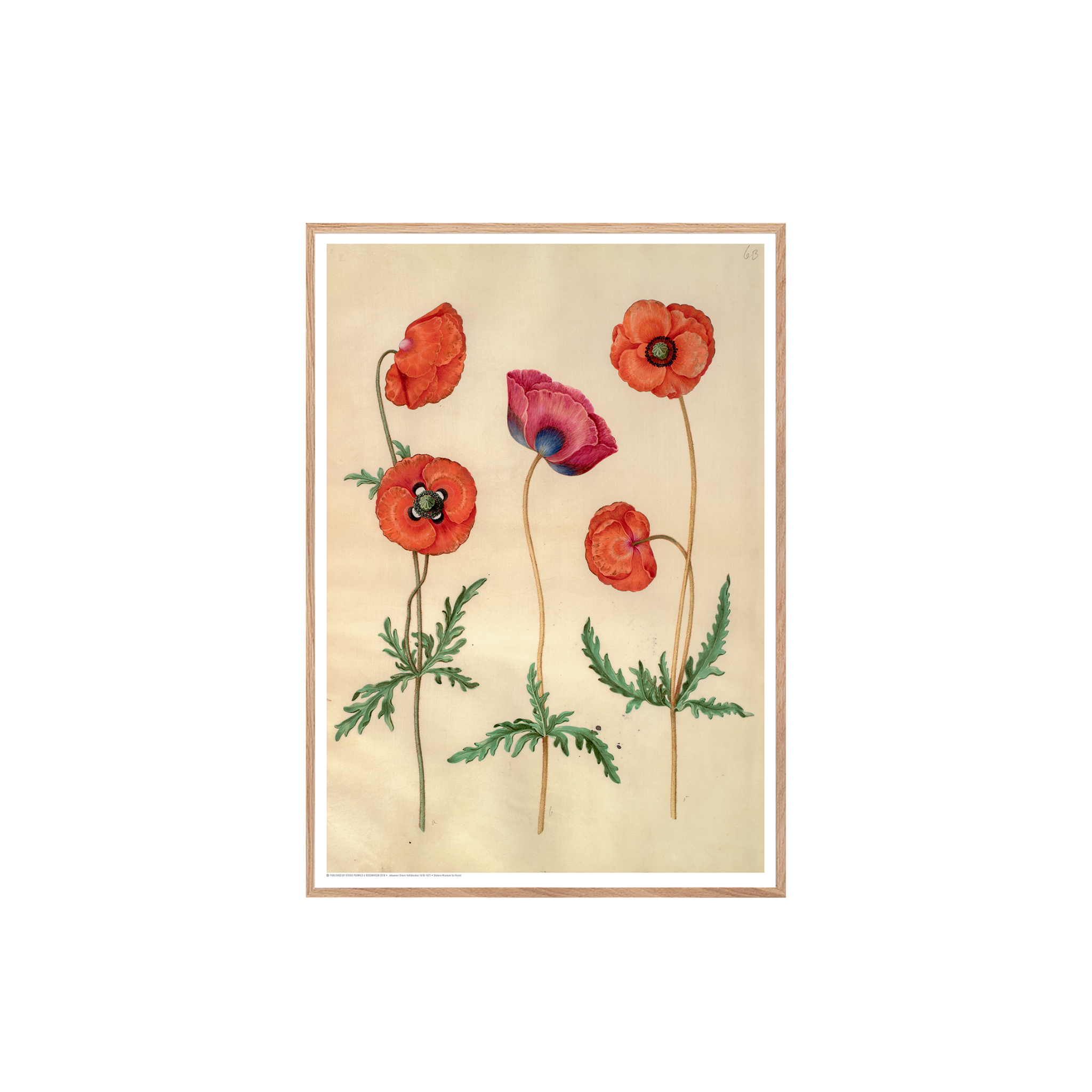 Holtzbecker "Kornvalmue" Plakat 30 x 42 cm