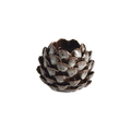 Mogihome Shelly Fyrfadsstage - Pine