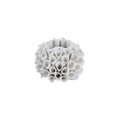 Mogihome Shelly Fyrfadsstage - Creme
