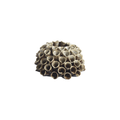 Mogihome Shelly Fyrfadsstage - Mole