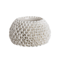 Mogihome Shelly Vase - Creme